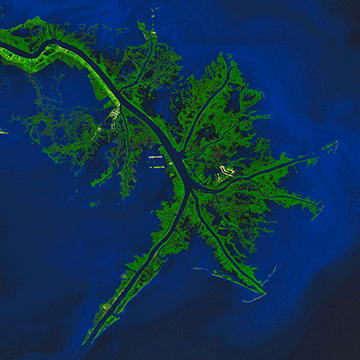 satellite view of Mississippi delta