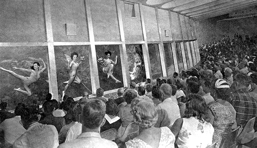 People watching a performance in the Underwater Theatre at Weeki Wachee Springs near Brooksville, Florida, in 1969. Photo courtesy of the State Archives of Florida's Florida Memory Project