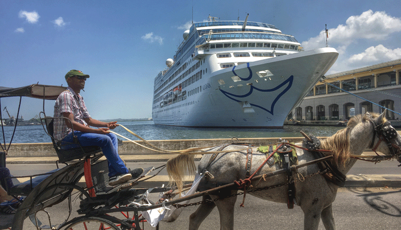 photo of a cruise ship in harbor as a man driving a horse-drawn carriage passes by on shore