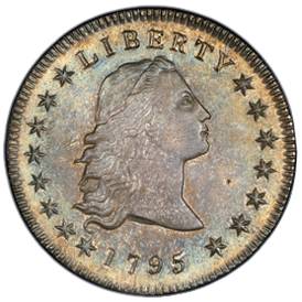 Flowing Hair Silver Dollar front